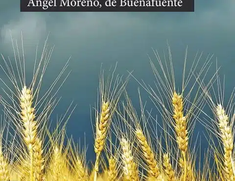 Me parece soñar - Ángel Moreno de Buenafuente