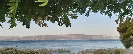 Lago de Galilea