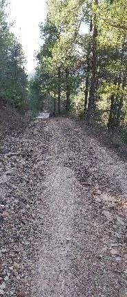 Soledad acompañada 2 1 2020