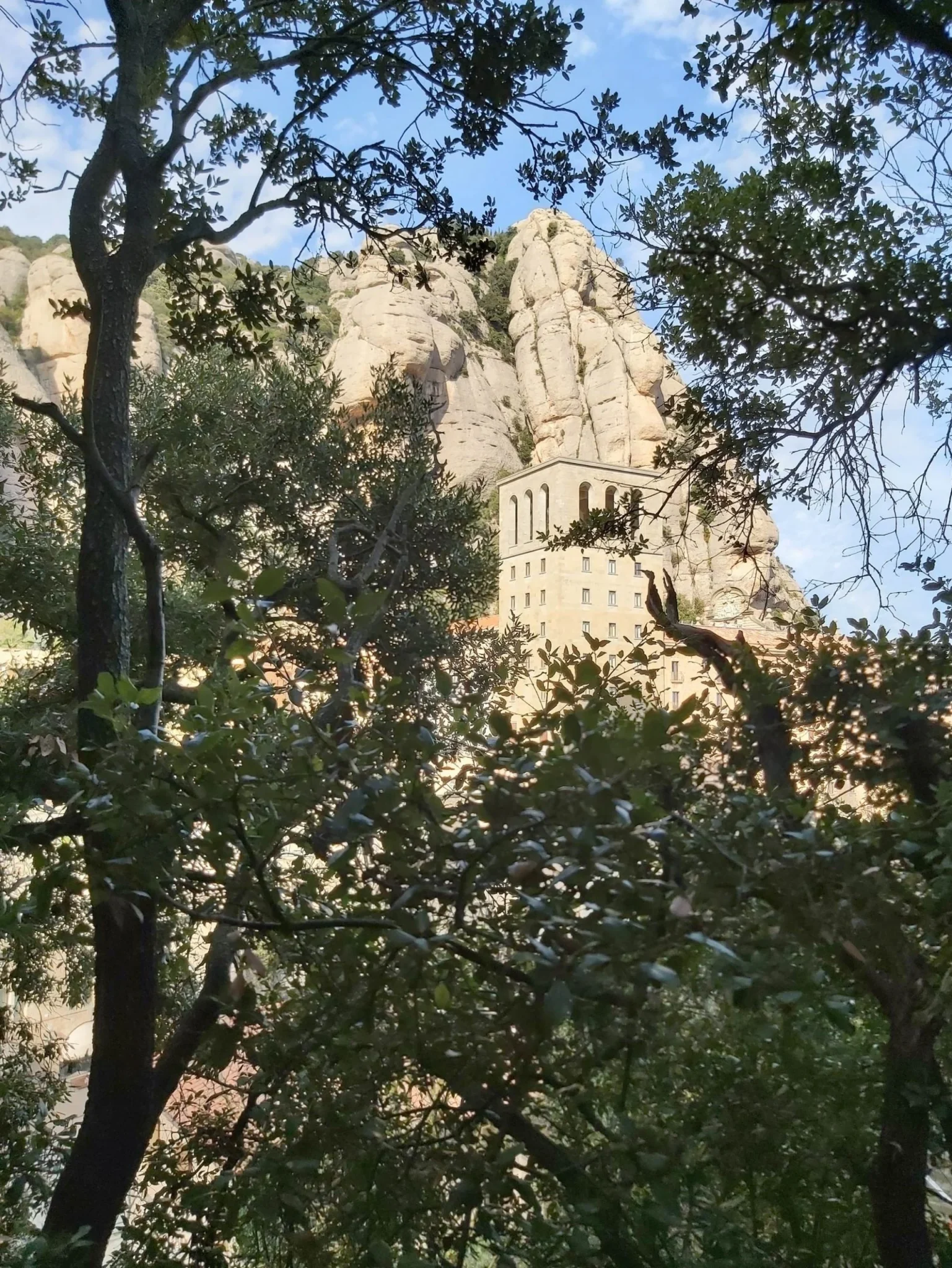 Montserrat 18 2 2020 scaled scaled