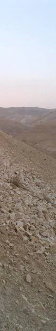 Desde el desierto humano 18 3 2020
