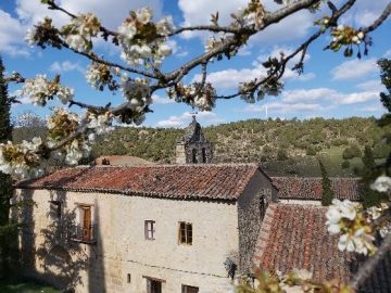 Flores y monasterio Buenafuente