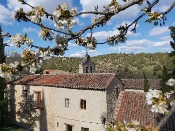 Flores y monasterio Buenafuente