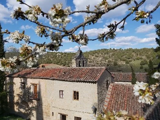 Flores y monasterio Buenafuente