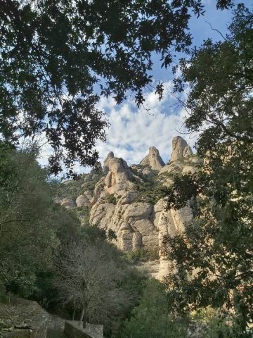 II Lunes de Cuaresma 9 3 2020