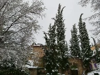 La profecía del monacato Nieve en el monasterio Buenafuente