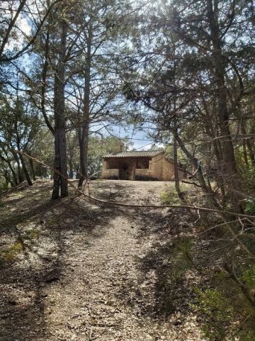 Nuestras certezas 27 3 2020