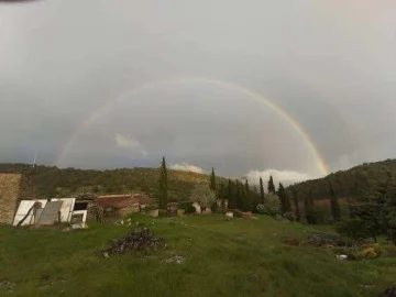 Regalo de primavera 27 4 2020