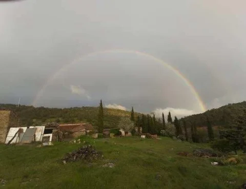 Regalo de primavera 27 4 2020