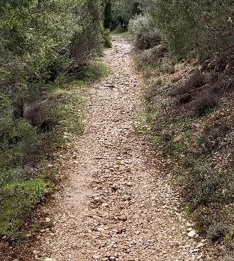 Subida al Monte de la Cruz Buenafuente 10 4 2020