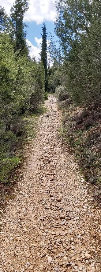Subida al Monte de la Cruz Buenafuente 10 4 2020
