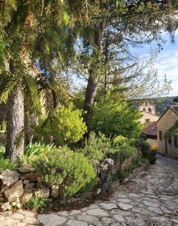 Vista de Buenafuente en primavera