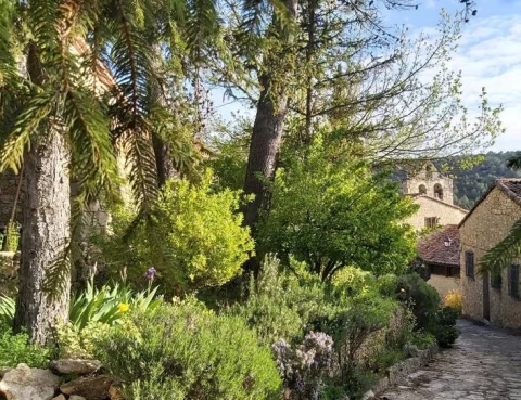 Vista de Buenafuente en primavera