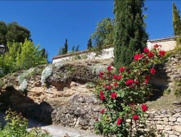 El Defensor 20 5 2020