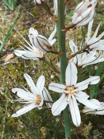 No tengáis miedo 12 5 2020