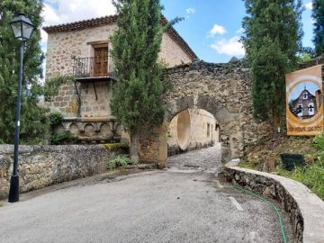 XII Domingo del Tiempo Ordinario 2021