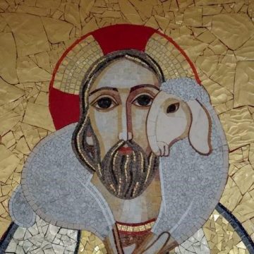 XIV Domingo del Tiempo Ordinario 5 6 2020