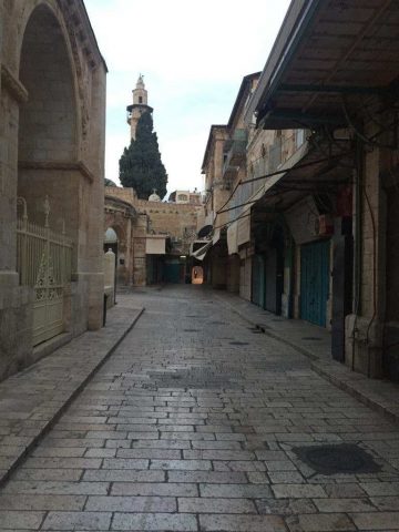 XXII Domingo Tiempo Ordinario 30 8 2020