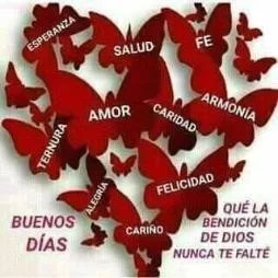 Domingo XXVI 27 9 2020