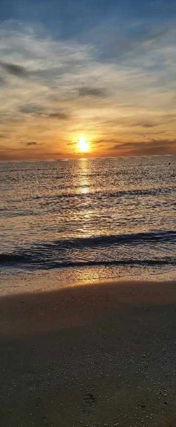 PRIMER DOMINGO ADVIENTO 29 11 2020