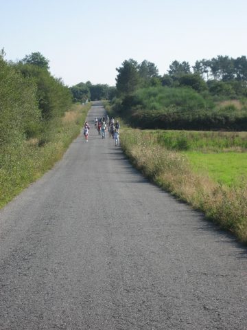 Segundo Domingo de Adviento 6 12 2020