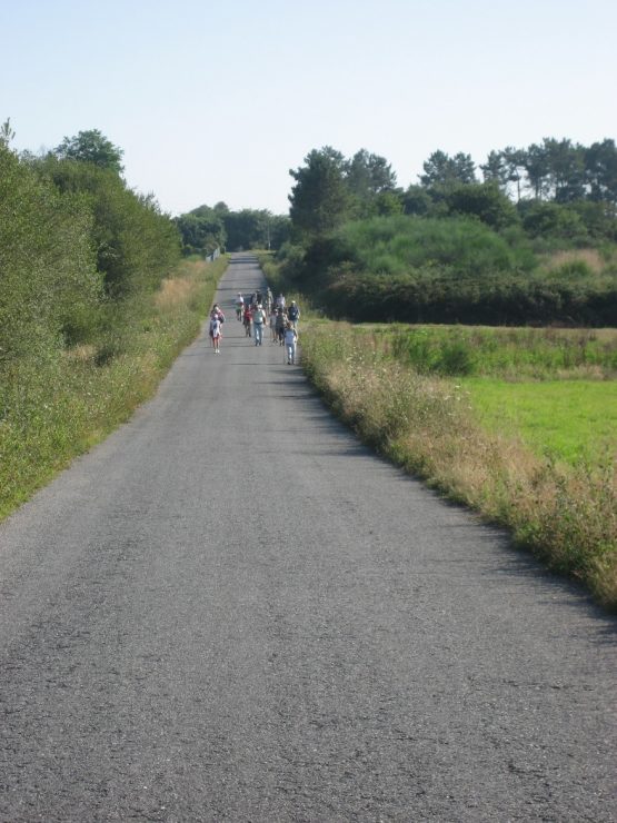 Segundo Domingo de Adviento 6 12 2020