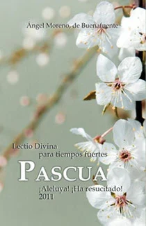 AM pascua 2011