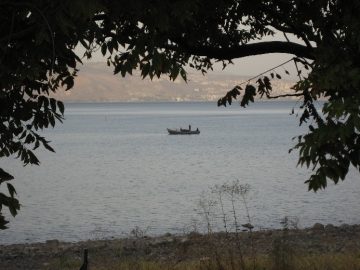 II Domingo Tiempo Ordinario 17 1 2021