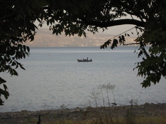 II Domingo Tiempo Ordinario 17 1 2021