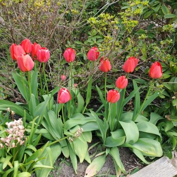 Semana del Cenaculo Don de Piedad 20 5 2021