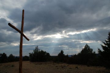 XI Domingo del Tiempo Ordinario 13 6 2021