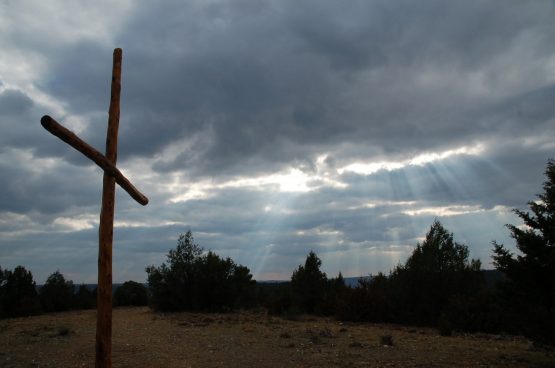 XI Domingo del Tiempo Ordinario 13 6 2021