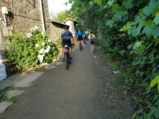 Peregrinos 25 7 2021