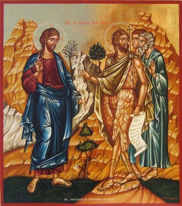 XV Domingo del Tiempo Ordinario 11 7 2021