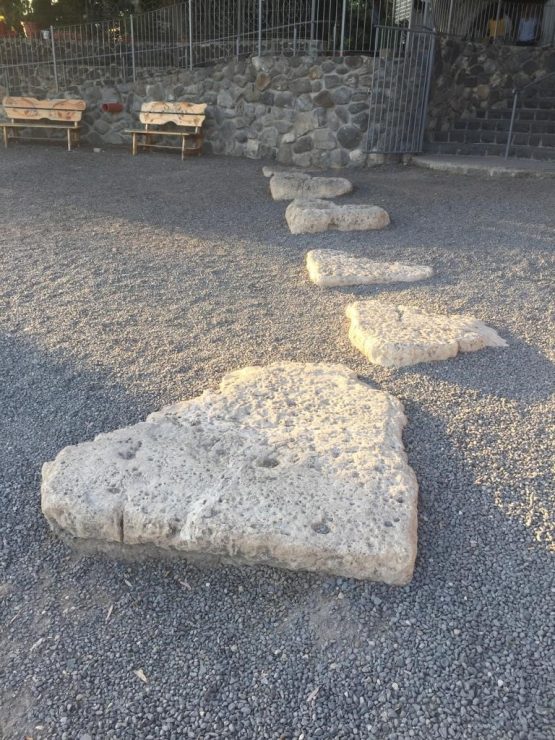 XXII Domingo Tiempo Ordinario 2 29 2 2021