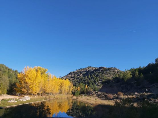 XXIX Domingo Tiempo Ordinario17 10 2021