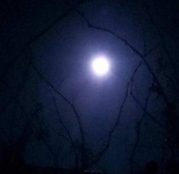 Luna llena 19 11 2021
