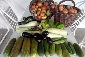 Lo más gratificante del trabajo, cosechar frutos