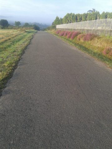 I Sabado de Adviento 4 12 2021 scaled