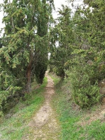 I Viernes Adviento 3 12 2021