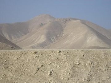 II Domingo de Adviento 5 12 2021