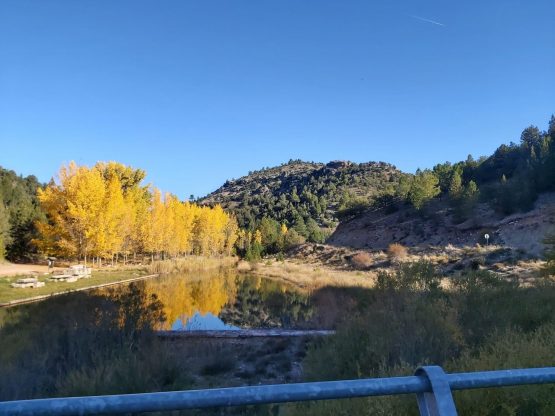 II Jueves de Adviento 9 12 2021 scaled