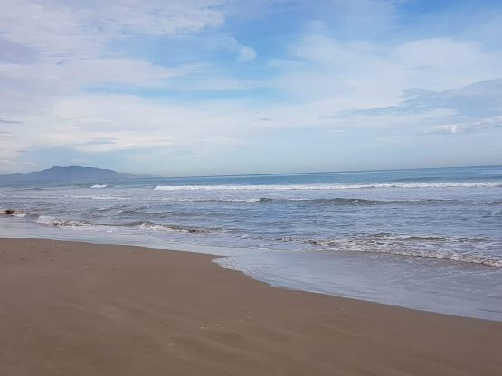 II Viernes de Adviento10 12 2021