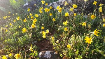 III Martes de Adviento 13 12 2021