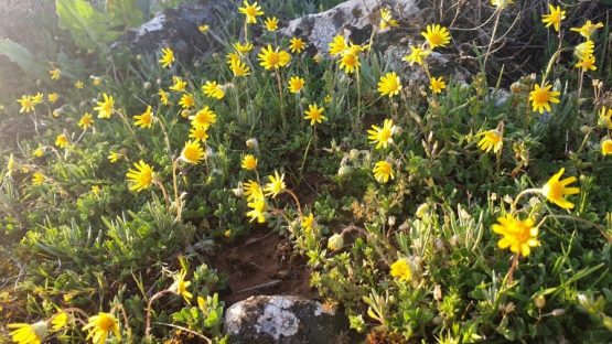 III Martes de Adviento 13 12 2021