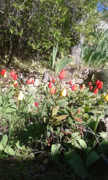 Inmaculada Concepcion 8 12 2021 scaled