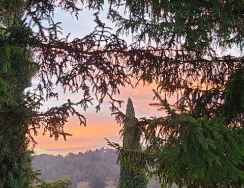 actividades ejercicios