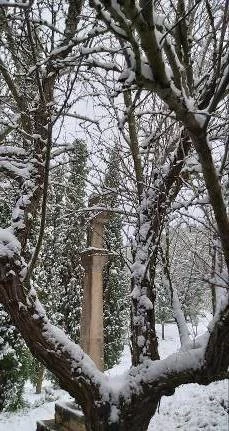 En pleno invierno Buenafuente 21 1 2022