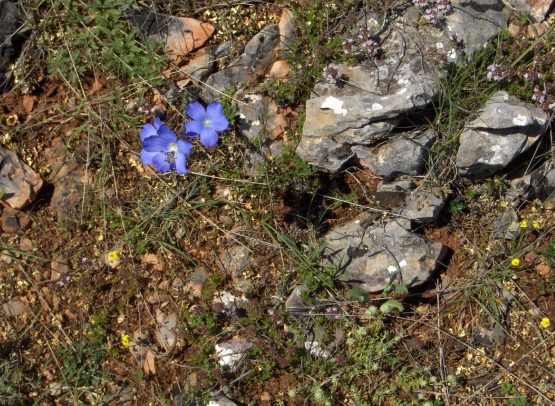 Lo cotidiano 10 1 2022