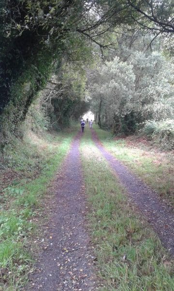 mensaje desde la entrana